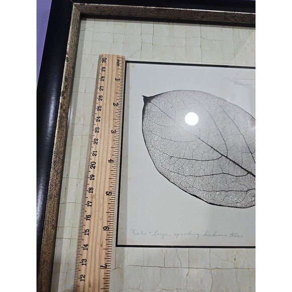 Persimmon Leaf Booker Morey Framed Art Print 13x13 SIGNED RARE - Picture 9 of 9